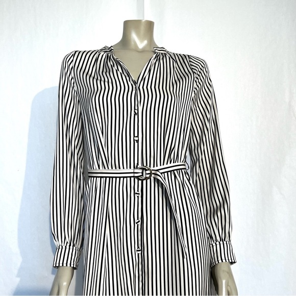 H&M Stripe Shirt Dress - Picture 7 of 12
